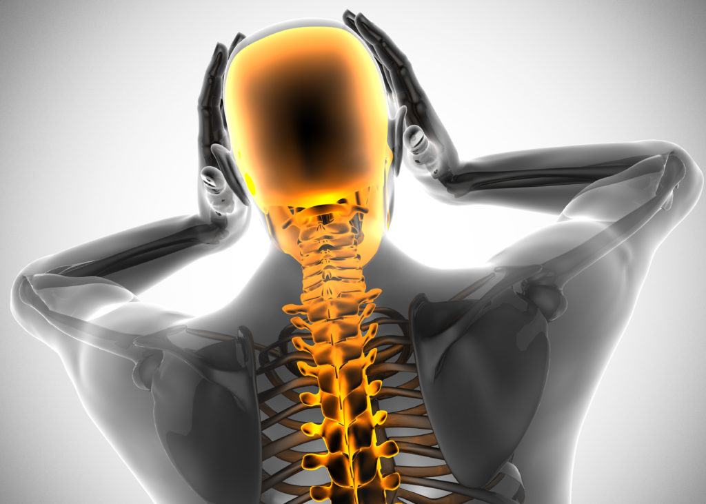 JOIN US ON FEB 20TH FOR A BIOMECHANICS CLE PRESENTATION ARCCA
